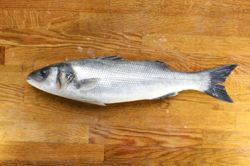 Sea Bass 800g-1kg