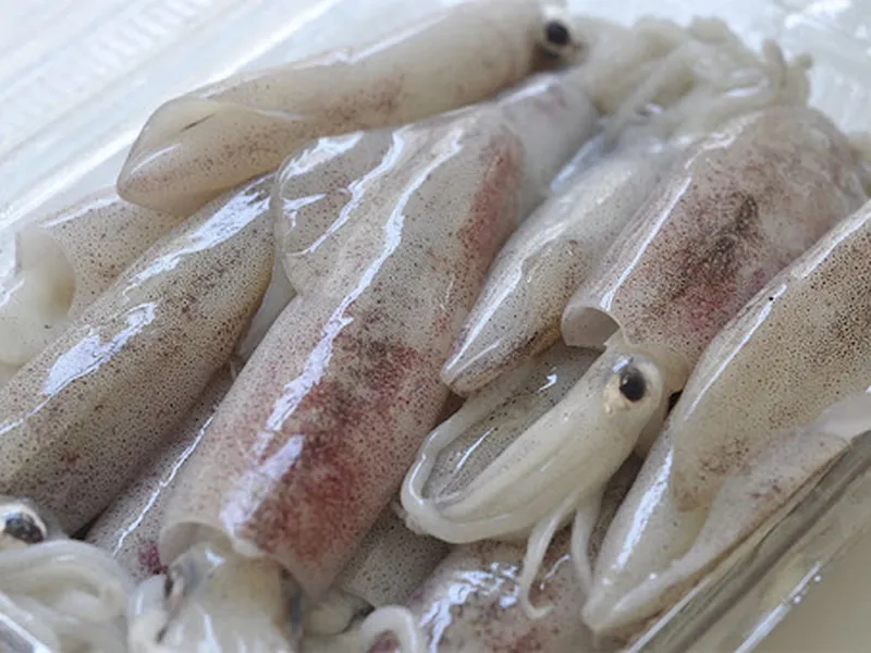 Squid (175-200g) - Cleaned