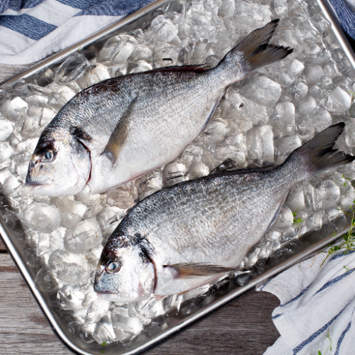 Gilthead Sea Bream 700-900g