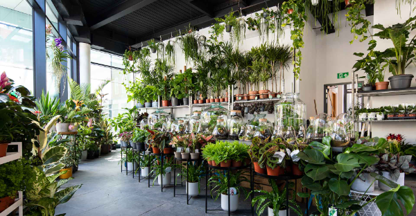Plant Warehouse Hoxton